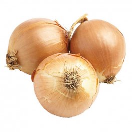 Onions, Spanish