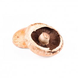 Mushrooms, Portabella