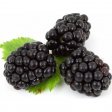 Blackberries