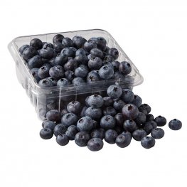 Blueberries, Large