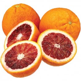 Oranges, Blood