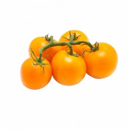 Tomatoes, Orange Vine