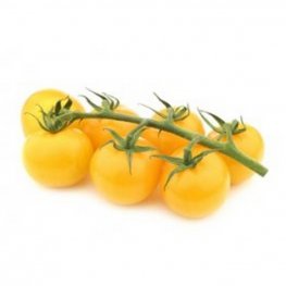 Tomatoes, Yellow Vine