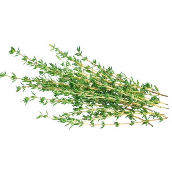 Thyme