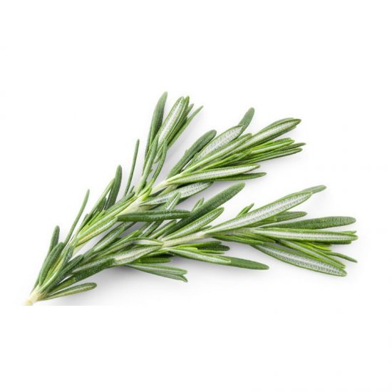 Rosemary