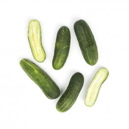 Cucumbers, Kirbie