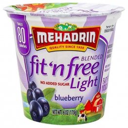 Mehadrin fit n' free Light Blueberry Yogurt 6oz