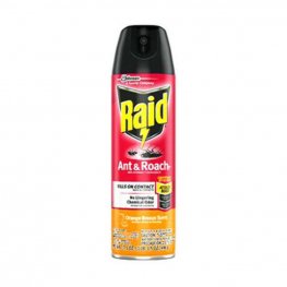 Raid Ant & Roach Killer 17.5oz