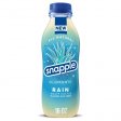 Snapple Elements Rain Agave Cactus Tea 15.9oz