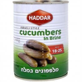 Haddar Cucumbers In Brine 19oz