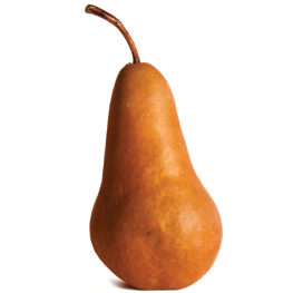 Pears, Bosc
