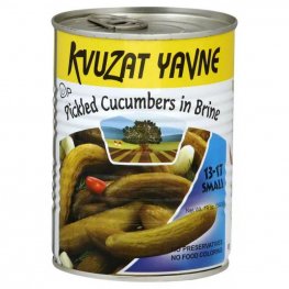 Kvuzat Yavne Pickled Cucumbers in Brine Mini 19oz