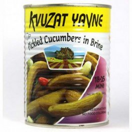 Kvuzat Yavne Pickled Cucumbers in Brine Mini 19.9oz