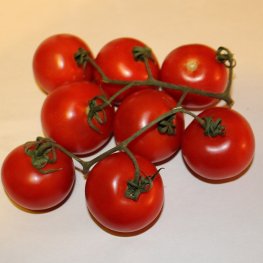 Tomatoes, Campari