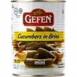 Gefen Cucumbers in Brine Mini 19oz