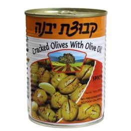 Kvuzat Yavne Green Cracked Olives with Olive Oil Spicy 19oz