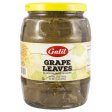 Galil Grape Leaves Jar 32oz