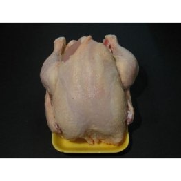 EX CLEAN Cornish Chicken (Hen) (2.3lb)